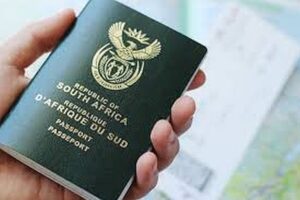 Digitale transformasie by
BS maak aansoeke maklik