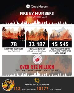 More than 32 000 ha burnt