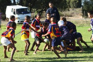 Dapper groentjies maak Laerskool Panorama trots