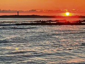 Photo competition to celebrate nature