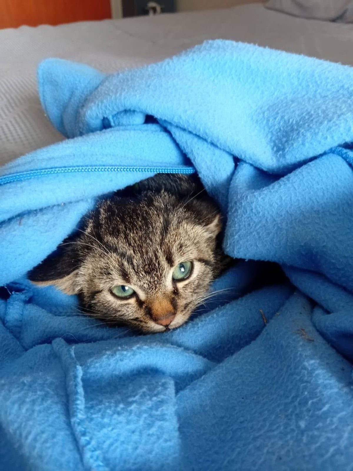 Hou jou diere ook warm