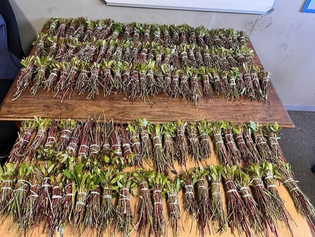 Sowat 12.1 kg khat ter waarde van R9 000 is Donderdag 12 Junie omstreeks 11:00 by Ahmad Siraad (44), 'n Somaliese burger, op Vredenburg gekry. Die polisie het vooraf inligting ontvang oor 'n Somaliese man op die R45 met 'n sak khat by hom. Hulle het die saak opgevolg en Siraad is met die sak khat betrap. Hy het reeds in die Vredenburg-landdroshof verskyn. Foto: SAPD
