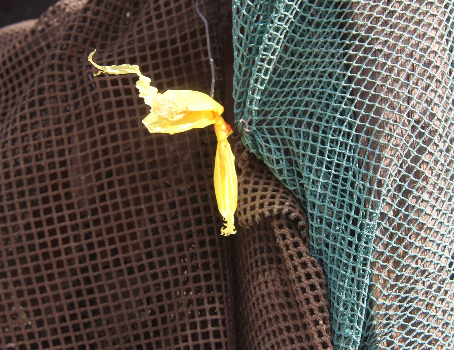 Nóg ‘n skietdood laat Vredenburg steier