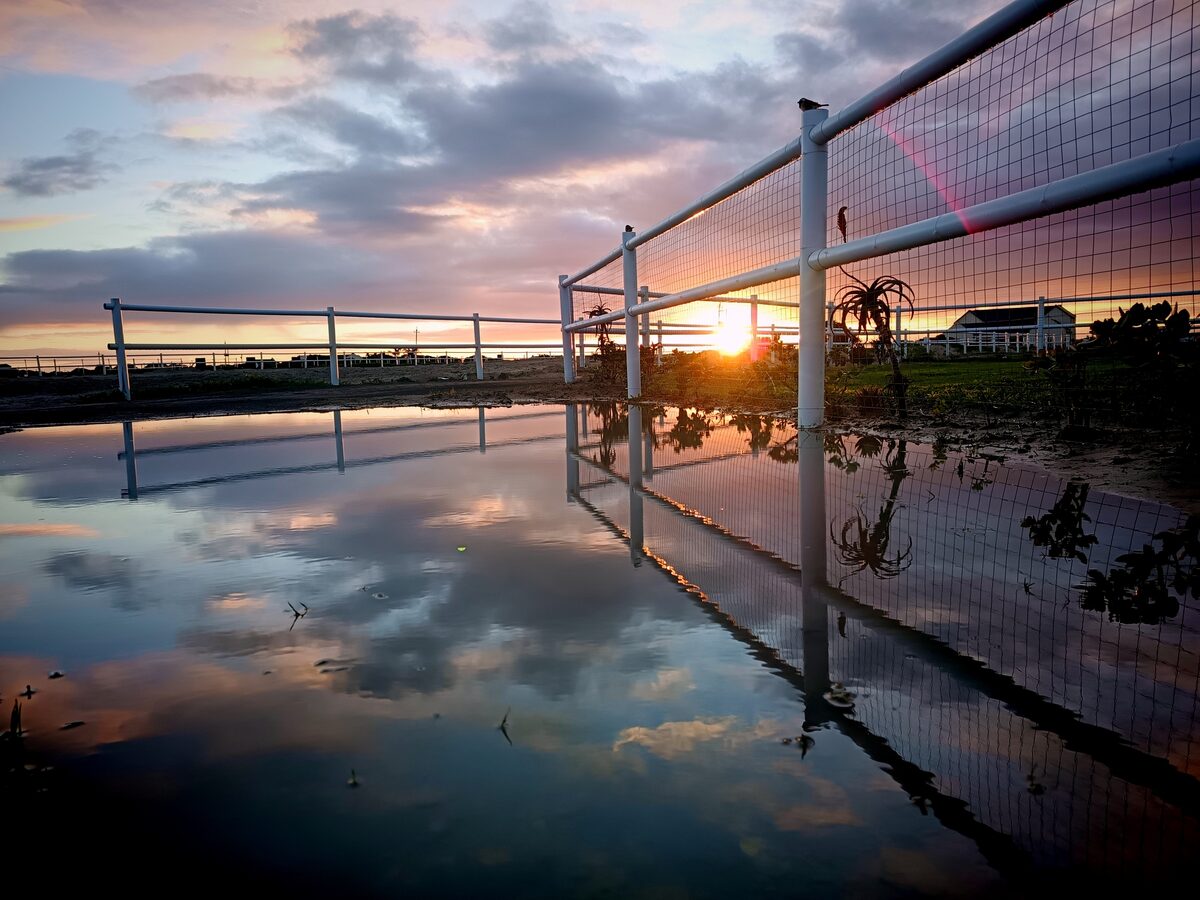Winterweerkaatsings vasgevang in Langebaan