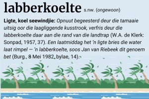Woord van die Week – 17 Julie 2025