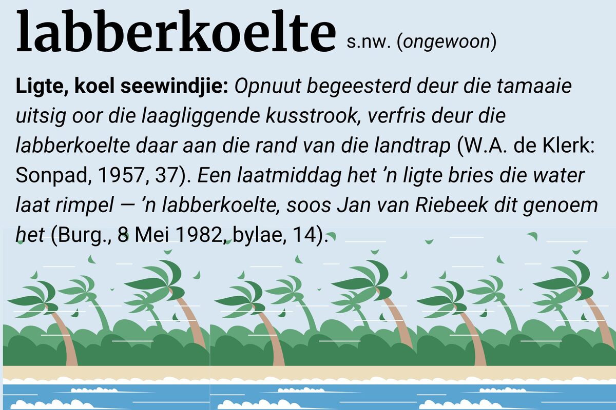 Woord van die Week – 17 Julie 2025