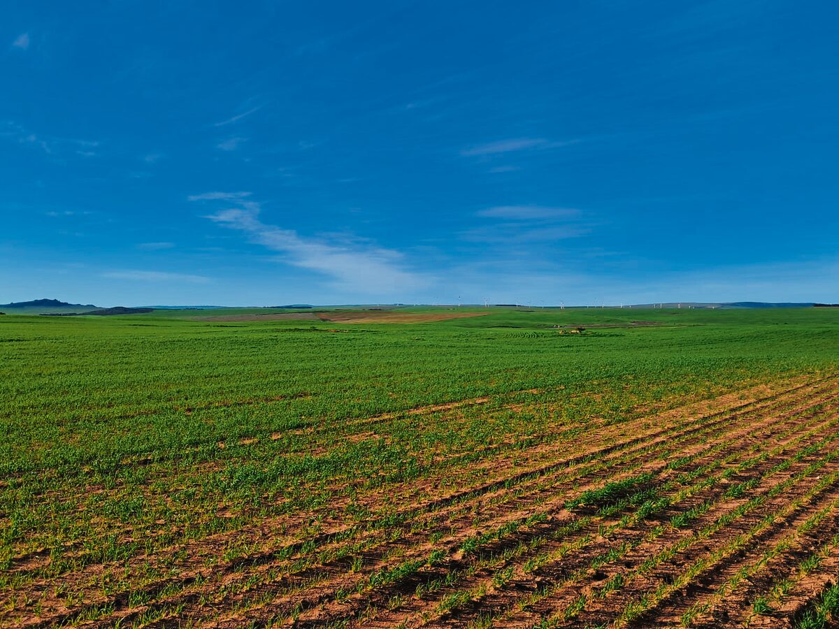 Boere vol hoopvol oor nat weer