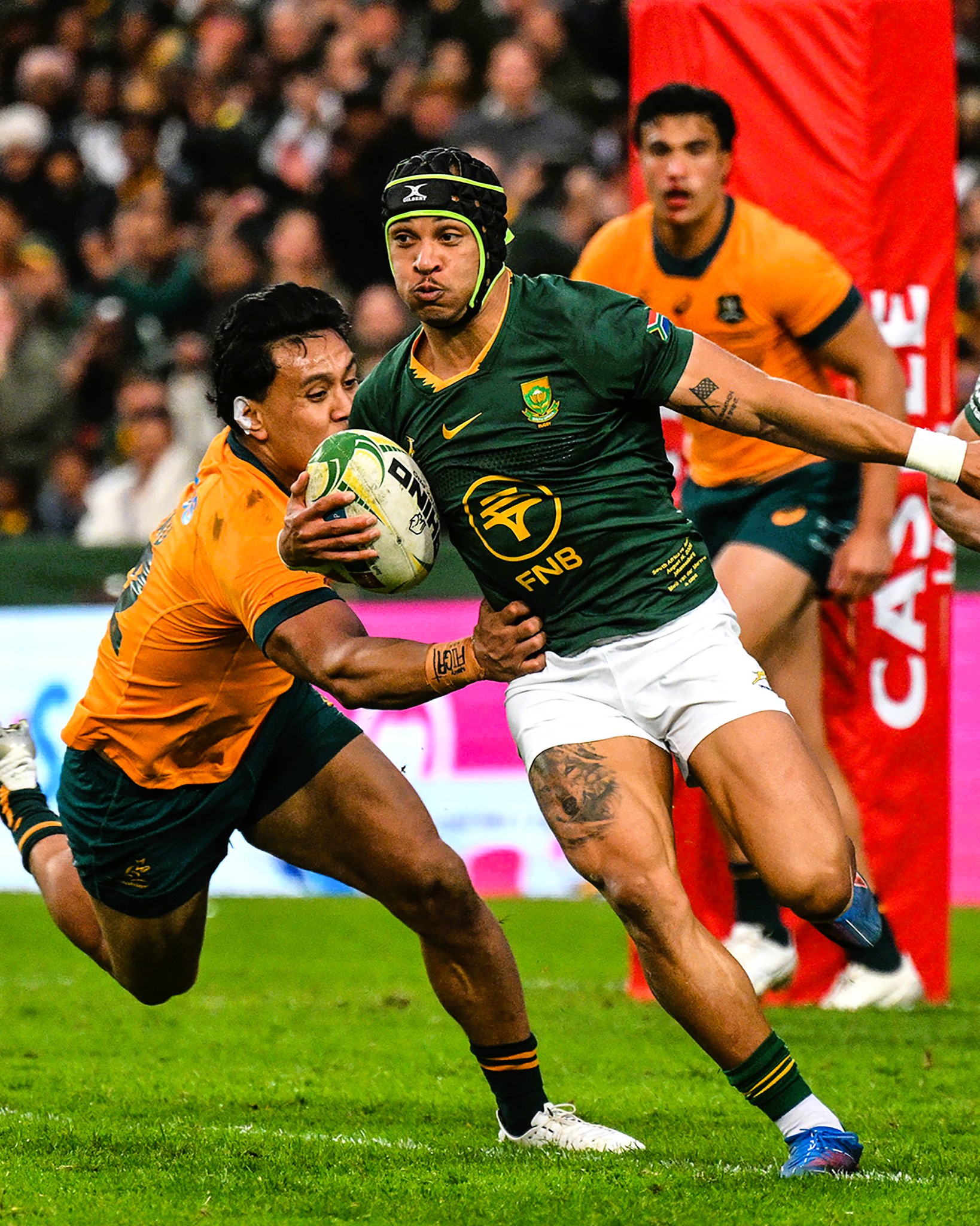 Springboks