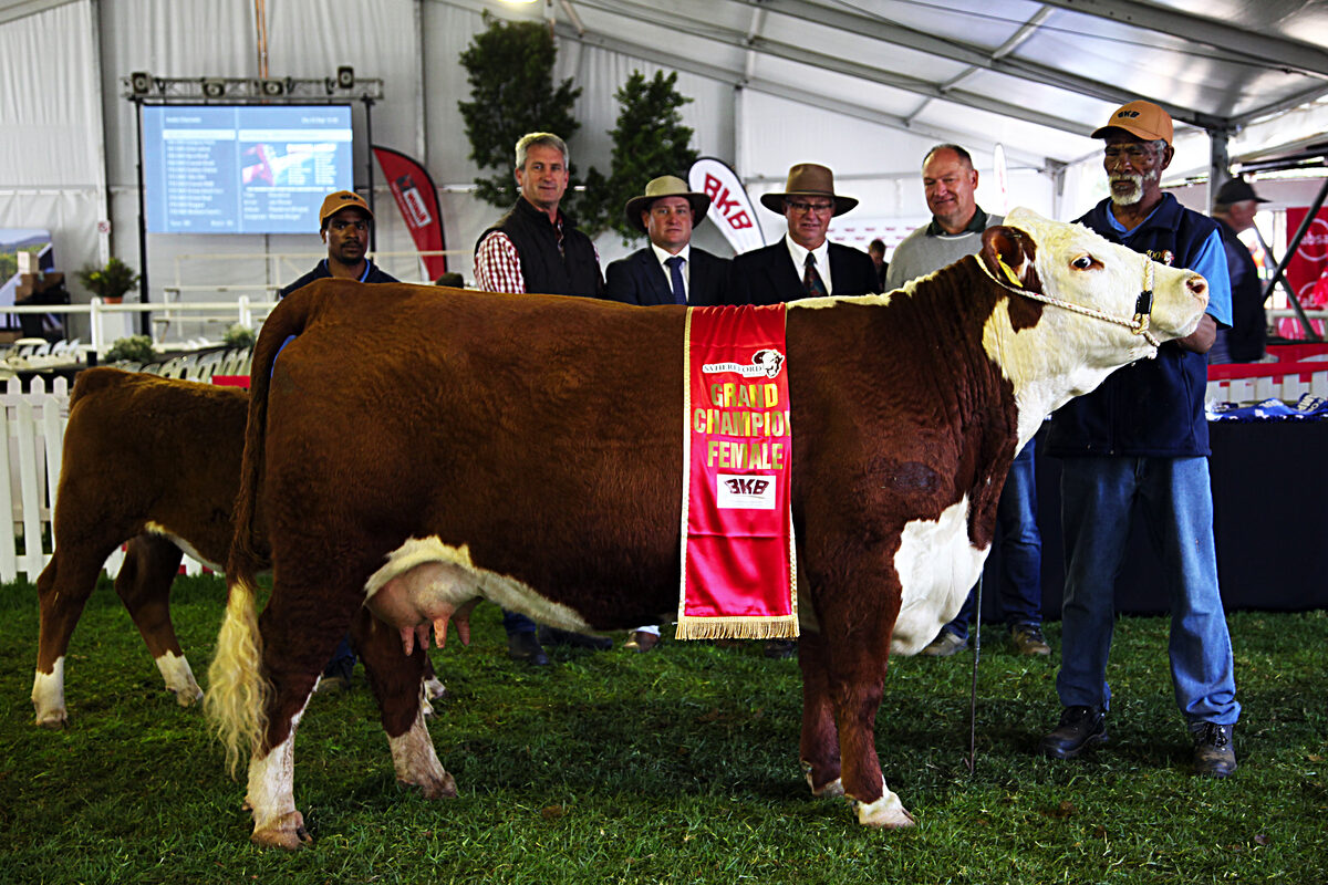 Dis weer skoutyd in die Swartland