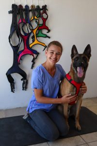 Fisioterapeut se hart klop vir diere
