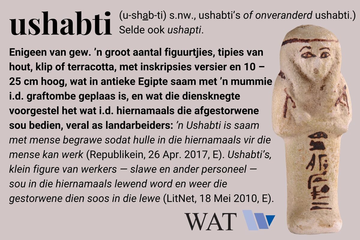 Die Woordeboek van die Afrikaanse Taal (WAT) gee ons elke week 'n kleurryke beskrywing van ongewone Afrikaanse woorde of idiomatiese uitdrukkings.