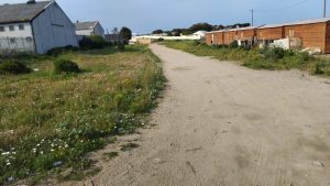 ‘Dis net peste en plae hier’
