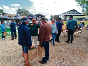 Swartlandskou ‘oes’ groot