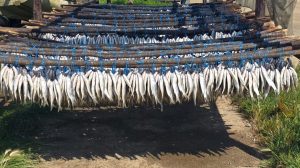 Toekoms van Bokkomlaan nog lank op die sakelys