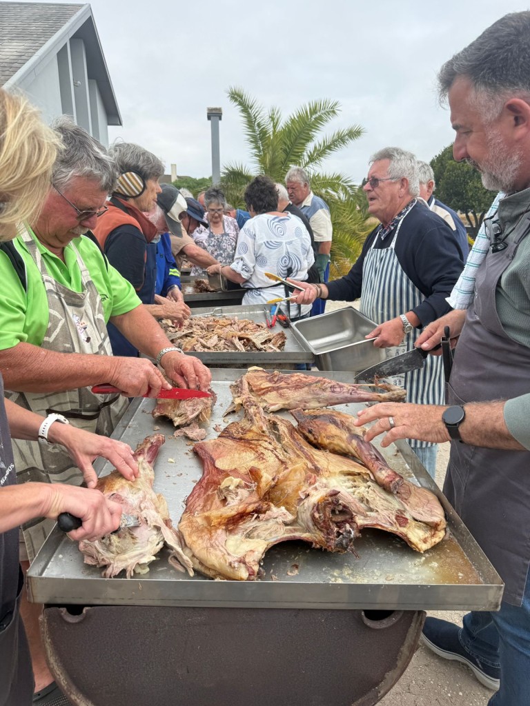 Skape word opgesny reg om ingeskep te word. Foto: Letitia van Zyl-Schultz.