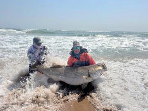 Uiteindelik daag daai grote toe op