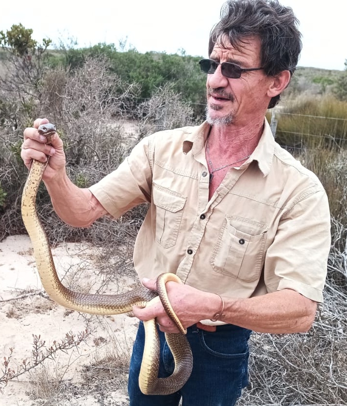 Etienne Swanepoel, 'n ervare slangvanger in die Weskus