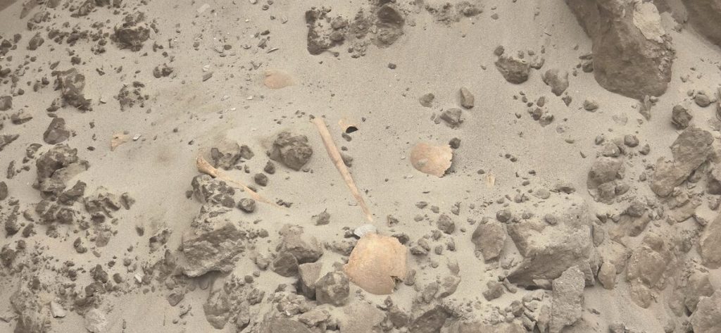 Werkers wat 'n gat vir 'n swembad gegrawe het, het eers gedink dié menslike beendere is dalk 'n skilpaddop, maar het by nadere inspeksie besef dit is 'n menslike skedel. 