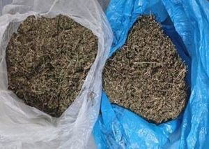 Man (30) vas oor dagga