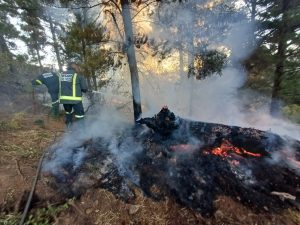Piket-bo-berg brande onder beheer