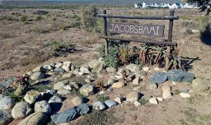 Vrou verfraai Jacobsbaai met pragtuine op straathoeke