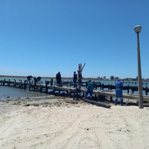 Rooibaai-kaai uiteindelik herstel?