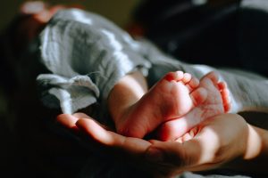 Weskus verwelkom 19 babas in feesseisoen