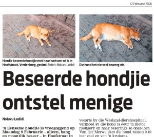 Mandaat bevraagteken