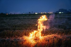 Toename in veldbrande weens droër toestande