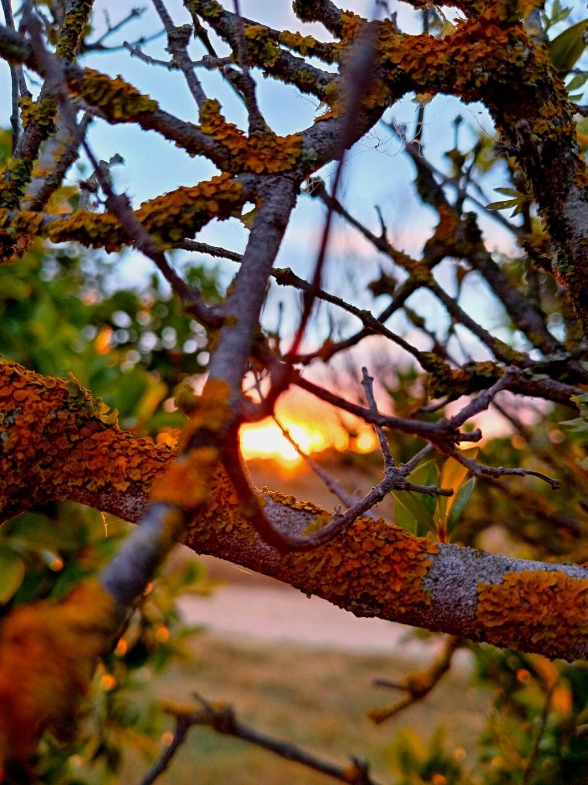 READERS PHOTO | Beauty is in the eye of the beholder