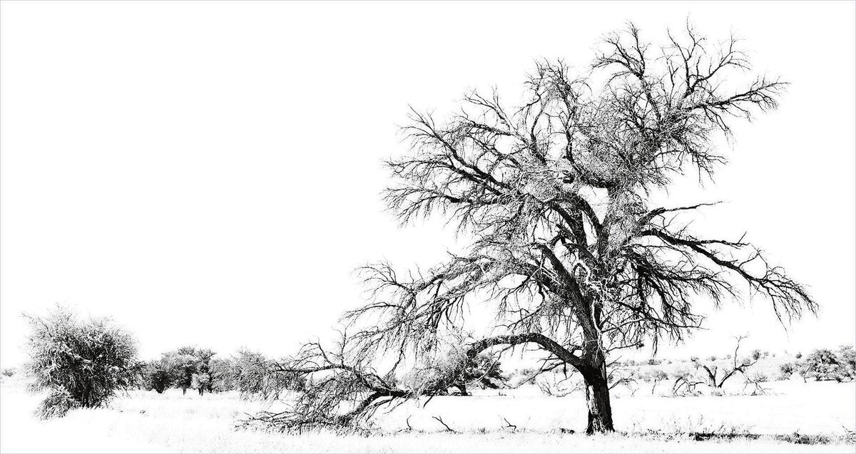 “Kgalagadi in Hi Key” deur Desere Coetzer (Paarl). Haar inskrywing was die temakategoriewenner van die aand.