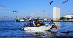 Snoek lóóp in die Weskus