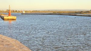 LESERSFOTO | Kaapse Kormorante besoek hawe