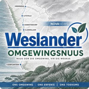 Openbare kommer groei oor projek buite Hopefield