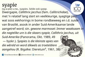 Wat beteken ‘syapie’?