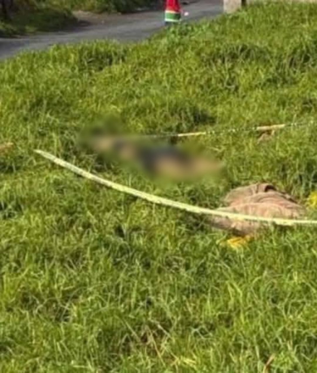 The body of Asemahle Hanisi (19) was found in this field in Citrusdal.