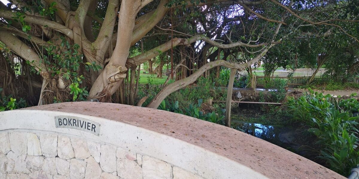 Die Bokrivier naby sy monding by Blue Bay Lodge in Saldanha. Foto: Danie Hefers