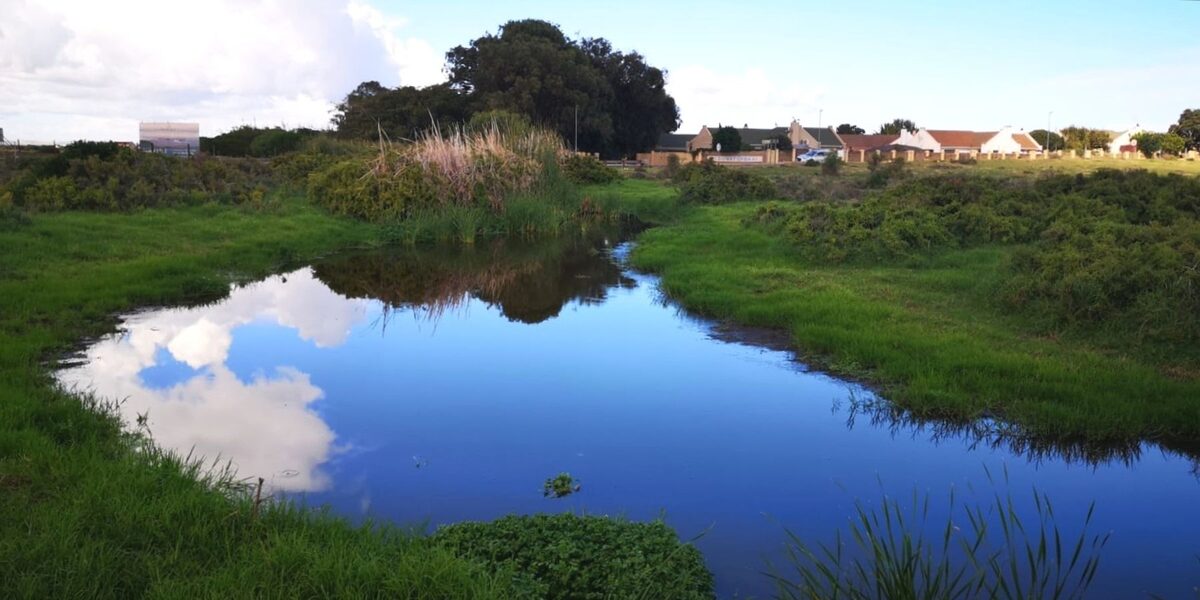 Die Bokrivier naby sy monding by Blue Bay Lodge in Saldanha, waar die rivier uiteindelik in Saldanhabaai uitloop.