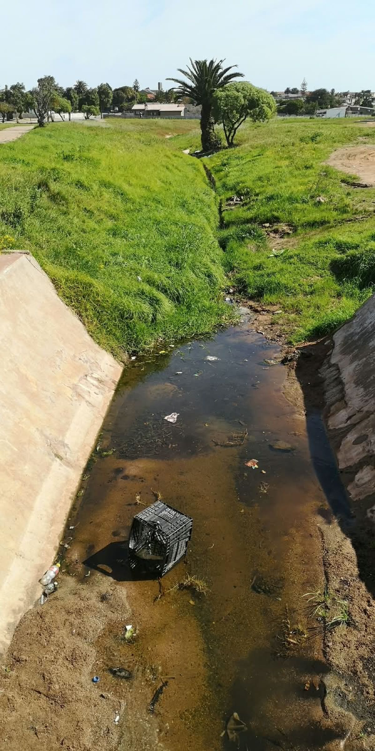 Die Bokrivier se beweerde oorsprong is in 'n munisipale park.