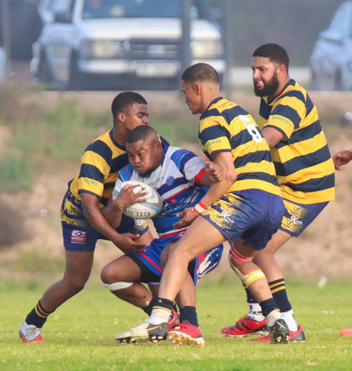 Langebaan-rugbyklub hou Tigers.