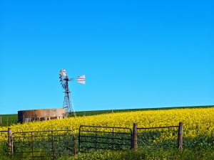 Your land, your water, your food: government’s new nature plan could hit closer than you think