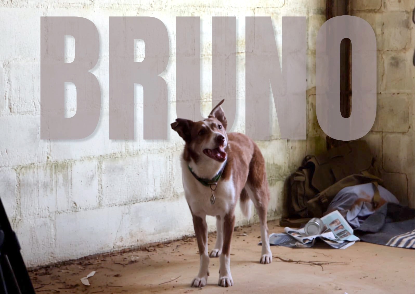 Die Afrikaanse post-apokaliptiese kortfilm, Bruno, is in die Weskus vervaardig.
