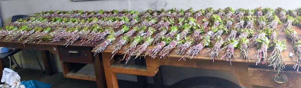 Die 125 bundels vermoedelike khat ter waarde van R15 000.