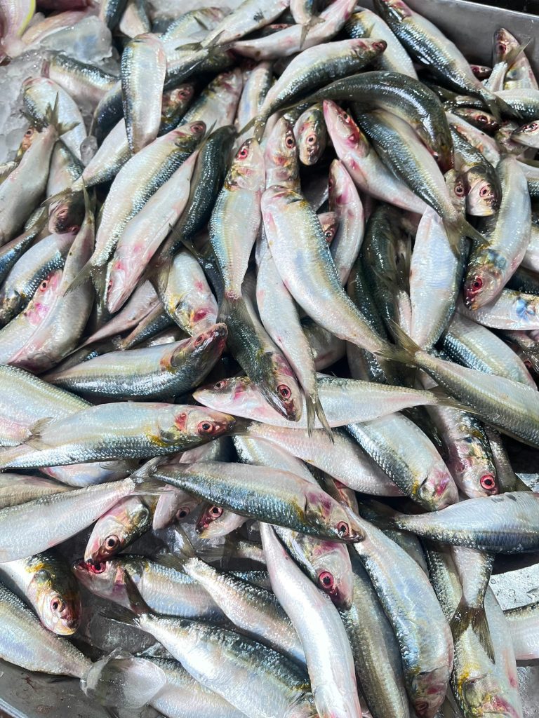 A mass of dead sardines washed ashore. Photo: 
Romeio Paul | Unsplash