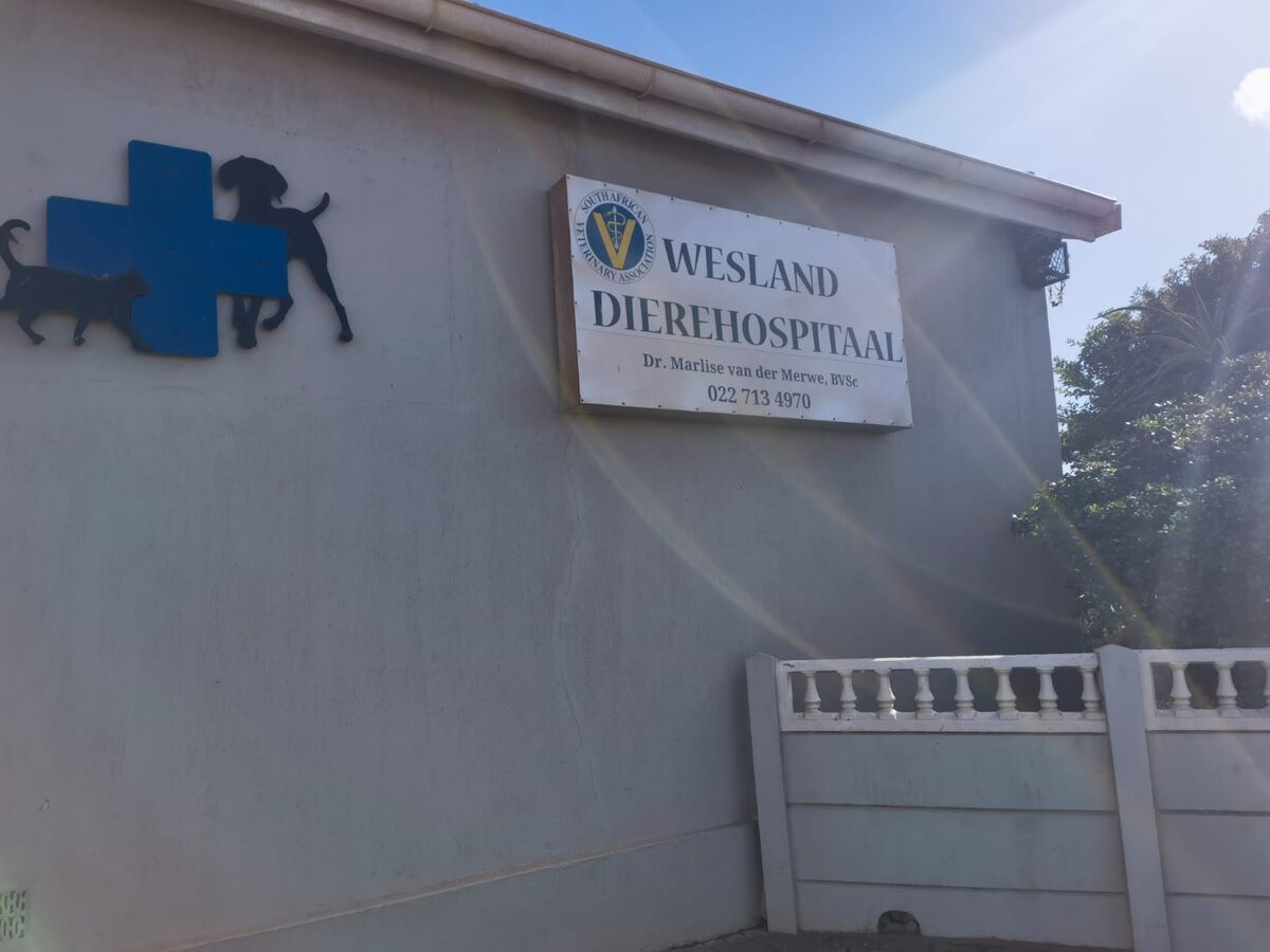 Diewe teiken Wesland-dierehospitaal