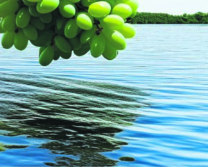 Recent weather impacting farms