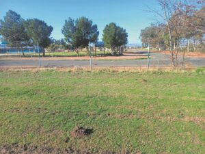 Vandalism, theft at school
