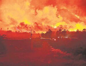 Brand in Slanghoek geblus