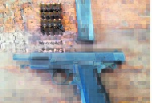 Unlicensed gun retrieved from toilet