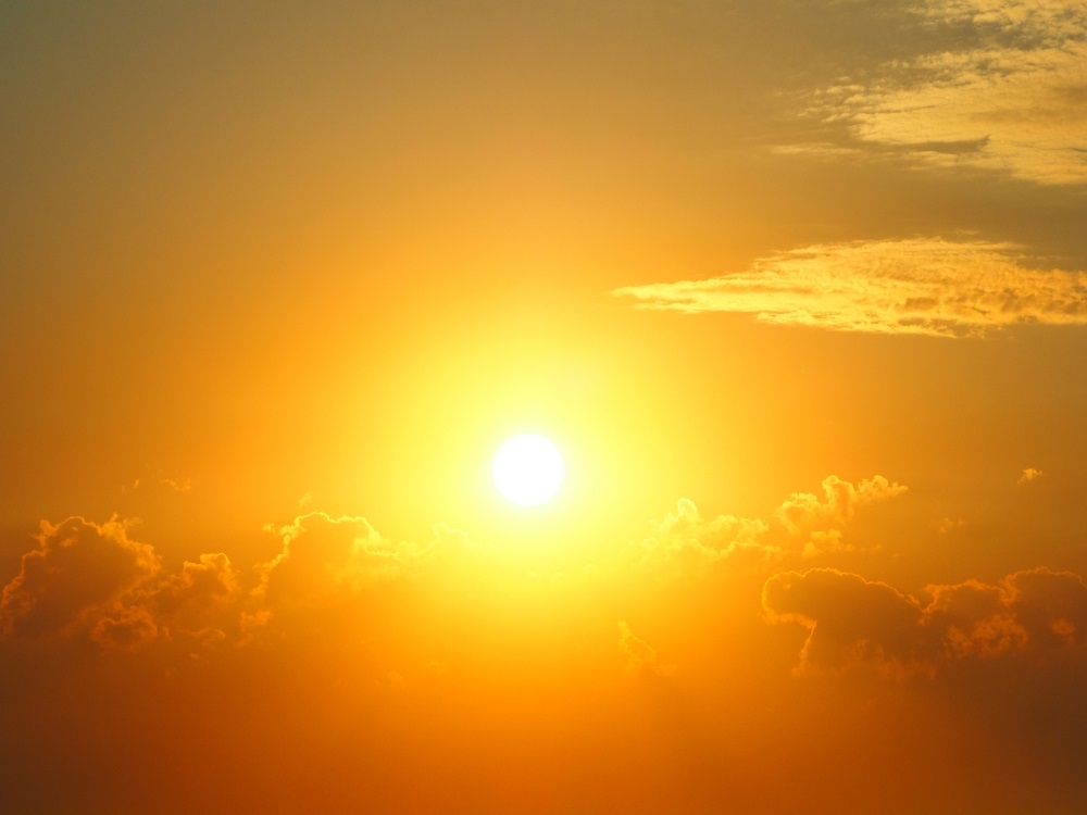 Montagu fire volunteers seek urgent donations after charity trail run to equip new recruits